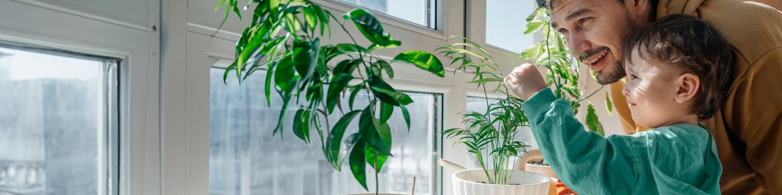 Man and son taking care of plants inside of home